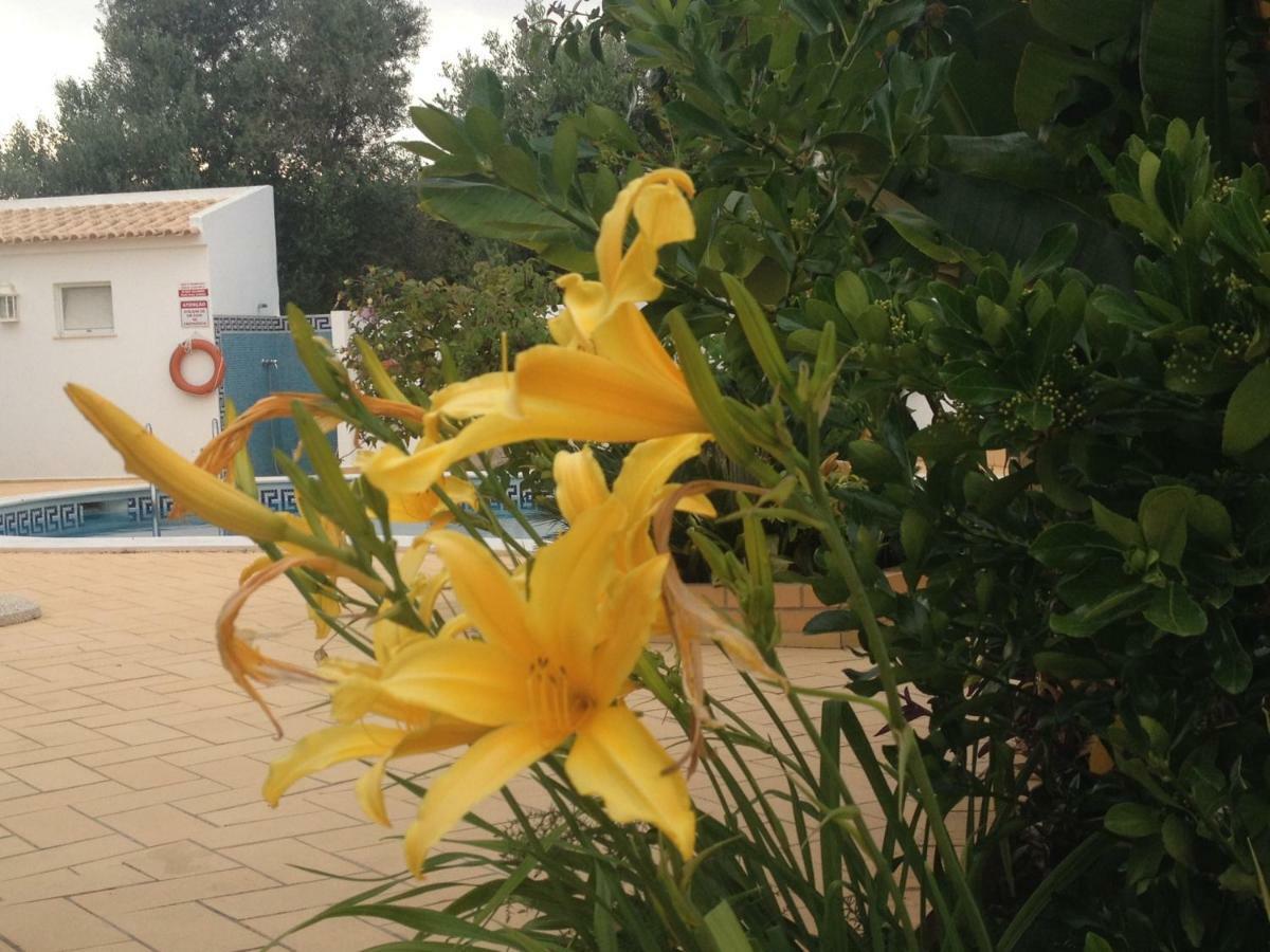Vilabranco Albufeira Esterno foto
