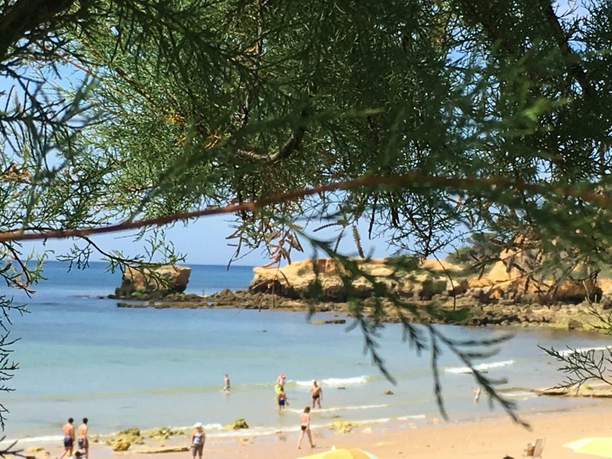 Vilabranco Albufeira Esterno foto